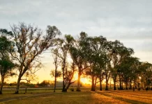 Anuncian nuevo repunte del calor: prevén 29° en Entre Ríos