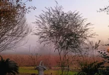 El martes comenzó con una densa niebla en gran parte de Entre Ríos