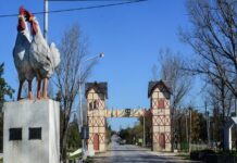 Comienzan los preparativos para la 31ª Fiesta Nacional de la Avicultura