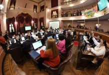 Diputados aprobó la creación del RINI y la adhesión del RIGI