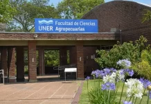 Las universidades vuelven al paro frente al feroz ajuste nacional