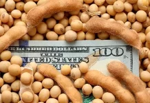 El agro liquidó más de US$ 16.000 millones y se espera que acelere la venta de soja
