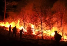 Incendios forestales: Milei y Francos viajan a Córdoba