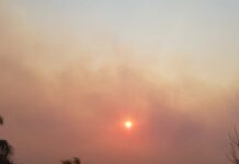 Incendios forestales: aumenta la preocupación por la salud respiratoria