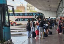 Oficializaron la desregulación del transporte de media y larga distancia: los cambios