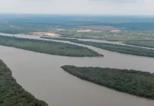 Se creó en Entre Ríos el Parque Natural Islas y Canales Verdes del Río Uruguay