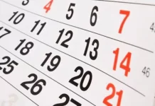 El gobierno confirmó fechas de “días no laborables” turísticos de 2025: el calendario de feriados