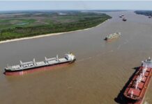 Llaman a defender el Río Paraná ante el nuevo avance sobre la Cuenca del Plata