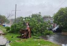 La Municipalidad trabaja para asistir a vecinos afectados por el temporal