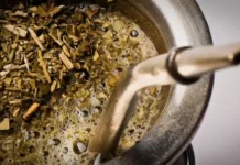 Productores paralizan cosecha y podría escasear la yerba mate en el país