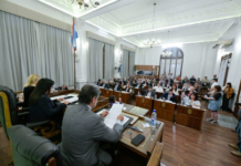 El Senado aprobó la Reforma Política, pero vuelve a Diputados con cambios