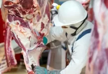 La provincia y Senasa unifican criterios y controles sanitarios en los frigoríficos