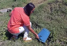 Intensifican las tareas de prevención y detección de dengue