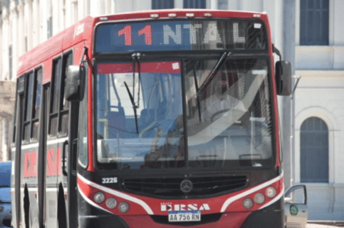 colectivos-3-analisis_15