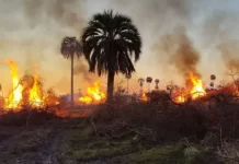 Quemas: están prohibidas hasta el 28 de febrero de 2025