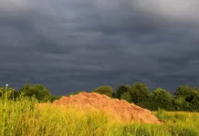 Emiten alerta amarillo por tormentas en cinco departamentos de Entre Ríos