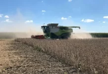 La sequía y falta de lluvias afectó a la soja entrerriana