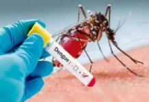 Dengue en Entre Ríos: desde Salud informaron que hay ocho casos confirmados