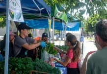La Feria en tu Barrio continúa recorriendo la ciudad durante 2025