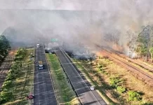 En Concordia declararon la Emergencia Ígnea debido a los numerosos incendios