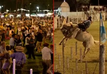 Nueva noche de jineteada y música en la Fiesta del Caballo: este sábado desfilan las agrupaciones