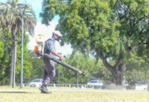 La Municipalidad realizó fumigaciones en la costanera