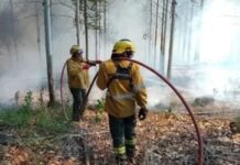 Entre Ríos decretó la “Emergencia Ambiental” para combatir incendios