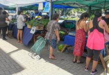 La Municipalidad acercó productos locales con precios populares a más de 40 barrios de la ciudad