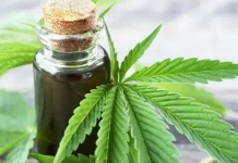 El gobierno anunció que dará de baja 300 mil permisos del Reprocann