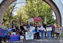 Escuela Alberdi reclama concursos de cargos directivos