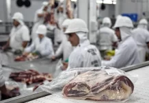 Argentina rompió récords históricos en exportaciones de carne vacuna