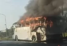 Impactante: se incendió por completo un colectivo que viajaba de Paraná a Crespo