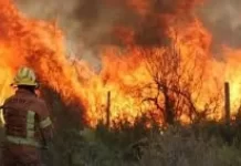Este jueves habrá protesta frente a Casa de Gobierno por los incendios forestales