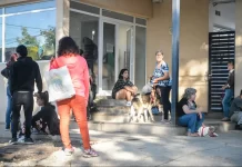 Se reprograman las actividades de castración y desparasitación de animales