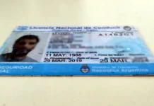 Formalizaron los cambios para las licencias de conducir profesionales