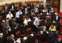 Senado: el Gobierno negocia para sostener a García-Mansilla como juez de la Cort
