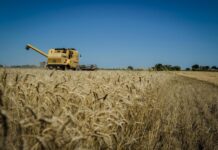 Las exportaciones de Entre Ríos fueron las de mayor crecimiento en la Región Centro