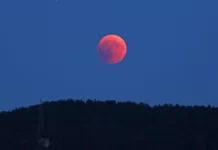 La Luna se teñirá de rojo este viernes a la madrugada: horarios del eclipse y cómo verlo
