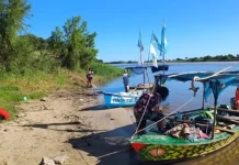 Remada en defensa del río Paraná: la travesía llega a la capital entrerriana