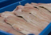 Consejos para el consumo seguro de productos de la pesca durante Semana Santa