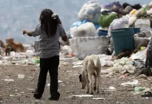 La desigualdad mostró una leve baja en el último tramo de 2024