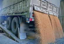 El Gobierno nacional eliminó el Registro Único de la Cadena Agroindustrial (RUCA)