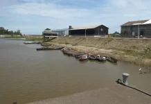 Investigan el impacto de la Hidrovía en los cursos naturales de agua del Río Paraná en Victoria