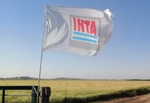 CEER y BolsaCER expresaron “profunda preocupación” ante la posible modificación del INTA