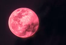 Cuándo será la “Luna de Fresa”, cuánto durará y por qué se llama así: el calendario lunar de junio