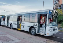 Transporte San José detalló qué aspectos priorizará para contratar personal