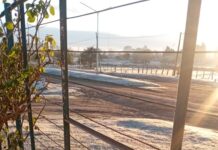 Amanecer helado: temperaturas inferiores a 5 grados bajo cero en Entre Ríos