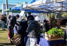 Feria en Tu Barrio: en diferentes puntos de la ciudad esta semana