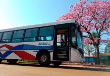 Transporte urbano: empresa anunció que obtuvo la licitación del servicio en Paraná