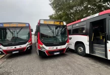 Presentaron 15 nuevos colectivos para el Área Metropolitana de Paraná